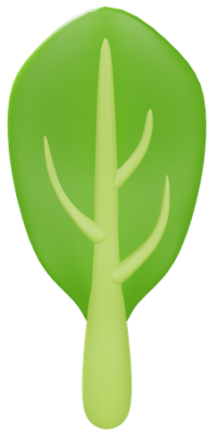 spinach